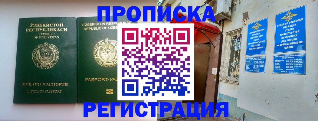 где прописаться в Каргополе